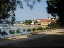 Apartmani Renato - 150 m from beach: A1(2+2), A2(2+2) Sveti Filip i Jakov - Rivijera Biograd   - plaža