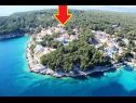 Apartmani Deni - 70m from beach: A1(4+1) Uvala Osibova (Milna) - Otok Brač  - Hrvatska - kuća