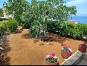 Kuća za odmor Lumos - panoramic view & olive garden: H(10) Postira - Otok Brač  - Hrvatska - vrt