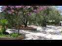 Apartmani Ljuba - nice garden: A2(4+1) Plavi, A4(8+1), A1(2+2) Okrug Gornji - Otok Čiovo   - cvjetni nasad (kuća i okolica)