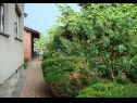 Sobe Branka - colorful: R1(2), R2(1) Križevci - Kontinentalna Hrvatska  - vrt