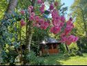 Kuća za odmor Riverside house - beautiful nature: H(6) Žumberak - Kontinentalna Hrvatska - Hrvatska - cvijeće