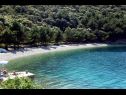 Apartmani Griv - close to the sea: A1(4), SA3(2), A2(2) Valun - Otok Cres   - plaža