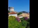 Sobe Garden - with a view: R1(2) Dubrovnik - Rivijera Dubrovnik   - pogled (kuća i okolica)
