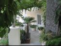 Kuća za odmor Villa Marija - terrace H(6) Trsteno - Rivijera Dubrovnik  - Hrvatska - dvorište (kuća i okolica)
