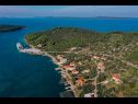 Apartmani Tara - 70 m from beach: SA2 rozi(2), SA3 plavi(2) Brbinj - Dugi otok   - vegetacija (kuća i okolica)