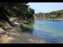 Apartmani Ralje - 100m from the sea & free parking: A1(2+1), A2(2+1) Sali - Dugi otok   - plaža