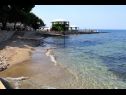 Apartmani Eli - 50m from the sea: A3(4) Umag - Istra   - plaža