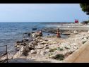 Apartmani Eli - 50m from the sea: A3(4) Umag - Istra   - plaža