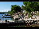 Apartmani Mari - amazing sea view: A1(4), A2(4) Uvala Karbuni (Blato) - Otok Korčula  - Hrvatska - plaža