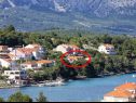Apartmani Rud - 15 m from sea: A1(2+1), A2(2+1), A3(2+1) Lumbarda - Otok Korčula   - vegetacija (kuća i okolica)