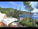 Kuća za odmor Niso - with pool H(12+2) Uvala Mikulina luka (Vela Luka) - Otok Korčula  - Hrvatska - H(12+2): pogled s terase