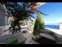 Kuća za odmor Doria - perfect location & peaceful: H(3+1) Uvala Stiniva (Vela Luka) - Otok Korčula  - Hrvatska - dvorište