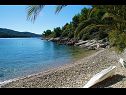 Kuća za odmor Senka1 - pure nature & serenity: H(2) Uvala Tudorovica (Vela Luka) - Otok Korčula  - Hrvatska - plaža