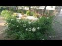 Apartmani Dorica - flower garden A1(4) Krk - Otok Krk   - vrt