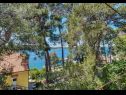 Apartmani Pero - 80 m from sea: A1(6), A2(2), A3(2) Mali Lošinj - Otok Lošinj   - Apartman - A3(2): pogled s terase