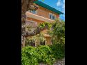 Apartmani Giuseppe - green terrace: A1(4) Mali Lošinj - Otok Lošinj   - kuća