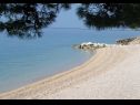 Apartmani Lovre - close to the sea : A1(6), A2(4+1) prizemlje, A3(5) Brela - Rivijera Makarska   - plaža