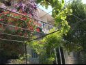 Apartmani Secret garden - seaview: A1(4), A2(2) Brela - Rivijera Makarska   - kuća