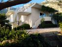 Apartmani Viki - seaview & garden terrace: A1(6) Makarska - Rivijera Makarska   - kuća