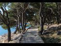 Kuća za odmor Ante - close to the sea: H(8+2) Tisno - Otok Murter  - Hrvatska - staza za šetnju
