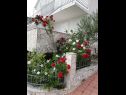 Apartmani Vida with garden: A1(2+2) - Naranča, A2(2+2) -  Limun, A3(2+2) - Maslina, SA4(4) - Studio Mandula Orebić - Poluotok Pelješac   - cvijeće