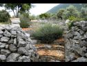 Kuća za odmor Sage - rustic dalmatian peace H(2+1) Trpanj - Poluotok Pelješac  - Hrvatska - detalj