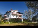 Apartmani Davorka - with sea view: A1(4+1), A2(4+1) Kampor - Otok Rab   - kuća