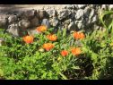 Apartmani Rosemary - gorgeous garden : A1(4+1), A2(4+1) Rogoznica - Rivijera Šibenik   - cvjetni nasad
