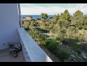 Apartmani Tin - comfortable apartment near beach: A1 (4) Ugljan - Otok Ugljan   - Apartman - A1 (4): pogled s balkona