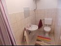 Kuća za odmor Andro - with parking : H(8) Bibinje - Rivijera Zadar  - Hrvatska - H(8): kupaonica s toaletom