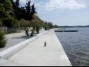 Apartmani Franka - 70 m from sea: A1(6) Zadar - Rivijera Zadar   - detalj