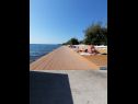 Apartmani Petin - 5m from the sea: A1(2+2), A2(2+2) Zadar - Rivijera Zadar   - plaža