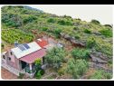 Kuća za odmor Smokovlje - sea view and vineyard H(4) Bol - Otok Brač  - Hrvatska - detalj (kuća i okolica)