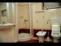 Apartmani DeMar - 70m from sea: A1-crveni(4), A2-zeleni(3), A3-plavi(3) Splitska - Otok Brač   - Apartman - A1-crveni(4): kupaonica s toaletom