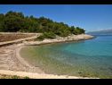 Kuća za odmor Branko - large terrace : H(2) Uvala Vela Lozna (Postira) - Otok Brač  - Hrvatska - plaža