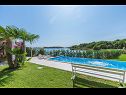 Apartmani Dream - 20 m from sea: Gold(3) Medulin - Istra   - bazen (kuća i okolica)