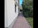Apartmani Ena - with free private parking: A1 Anthea (2+2), A2 Floki (2+2) Rovinj - Istra   - vrt
