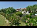 Kuća za odmor Gurianum - with pool: H(8) Vodnjan - Istra  - Hrvatska - cvjetni nasad (kuća i okolica)