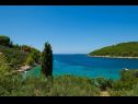Kuća za odmor Vers - 35m from the sea: H(4+2) Uvala Pičena (Vela Luka) - Otok Korčula  - Hrvatska - pogled