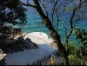 Kuća za odmor Vers - 35m from the sea: H(4+2) Uvala Pičena (Vela Luka) - Otok Korčula  - Hrvatska - plaža