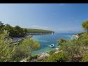 Kuća za odmor Villa Bistrana - 15m from sea: H(4) Uvala Tankaraca (Vela Luka) - Otok Korčula  - Hrvatska - pogled