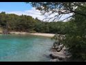 Apartmani Insula Insule - rustic & peaceful: SA1(2+1), SA2(2+1) Skrbčići - Otok Krk   - plaža