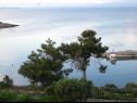 Apartmani Nada - 150 m from sea: A3(2), A2(2), A1(2) Mali Lošinj - Otok Lošinj   - vegetacija