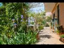 Apartmani Giuseppe - green terrace: A1(4) Mali Lošinj - Otok Lošinj   - dvorište