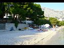 Apartmani Toni - 150m from pebble beach: A1 veliki (5) Baška Voda - Rivijera Makarska   - plaža