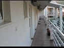 Apartmani Boro - sea view SA1(3), SA2(3), SA3(3) Dugi Rat - Rivijera Omiš   - terasa