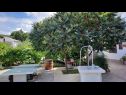 Apartmani Ankica - pool & garden A1(9), A2(8) Kampor - Otok Rab   - dvorište