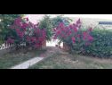 Apartmani Robi- swimming pool and beautiful garden A1-žuti(5), A2-crveni(5), A3(3+1) Kampor - Otok Rab   - cvijeće