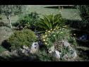 Apartmani Mig - with beautiful garden: A1(2+1), A3(4+1), A4(4+1) Supetarska Draga - Otok Rab   - detalj